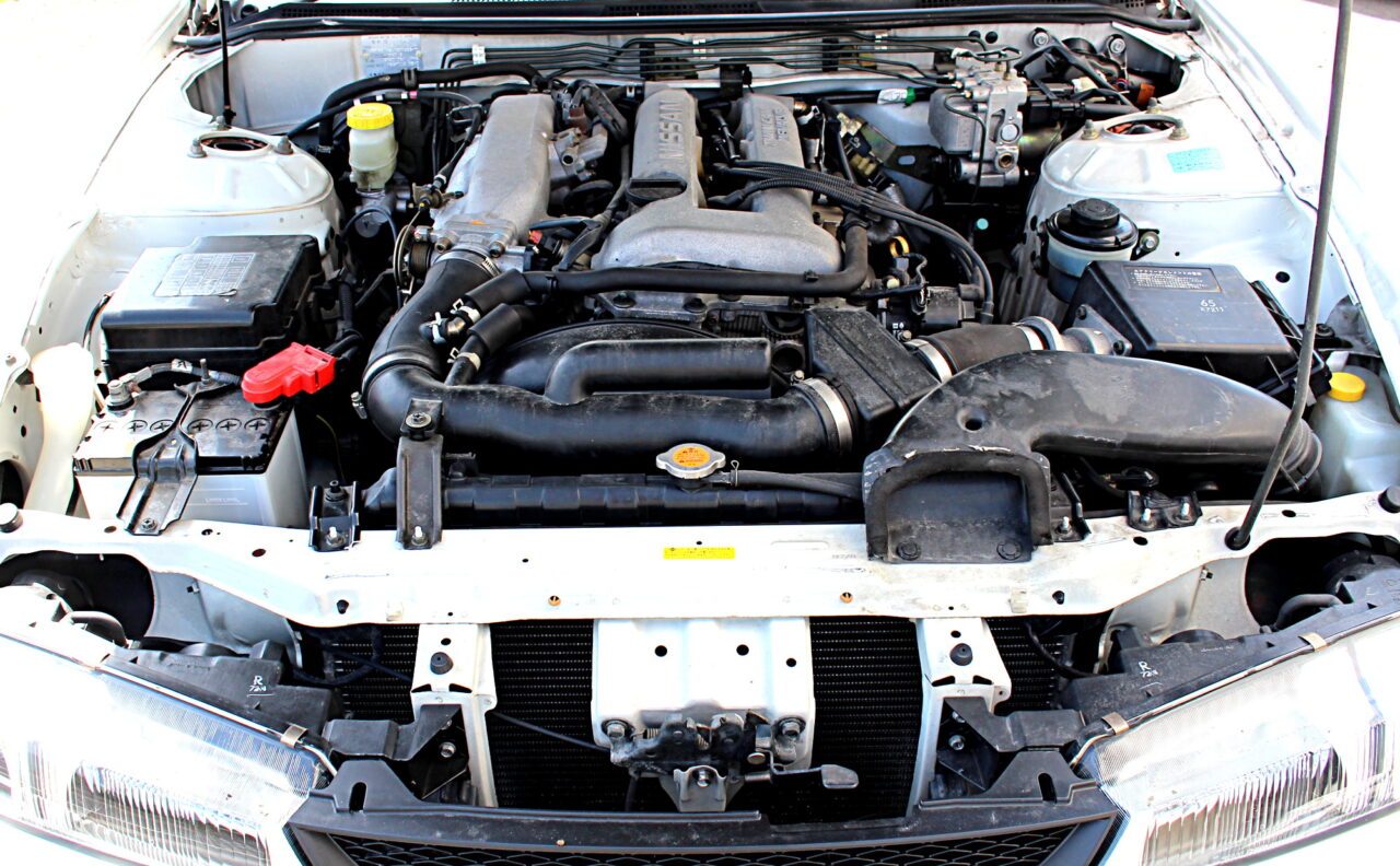 s14_white2_8